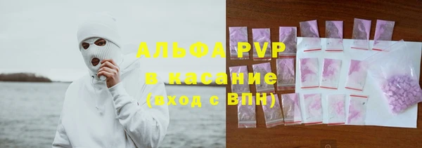 индика Алзамай