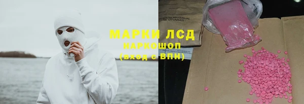 индика Алзамай